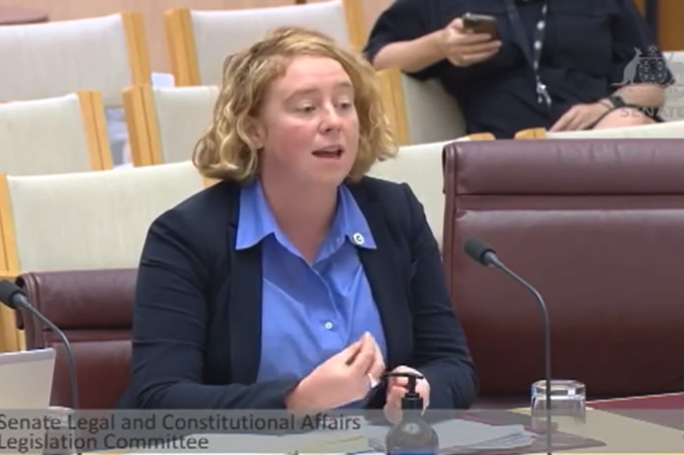 Abbey Kendall, the Director of the Working Women's Centre SA, presented at the Senate Inquiry on the Costs Protection Bill hearing.