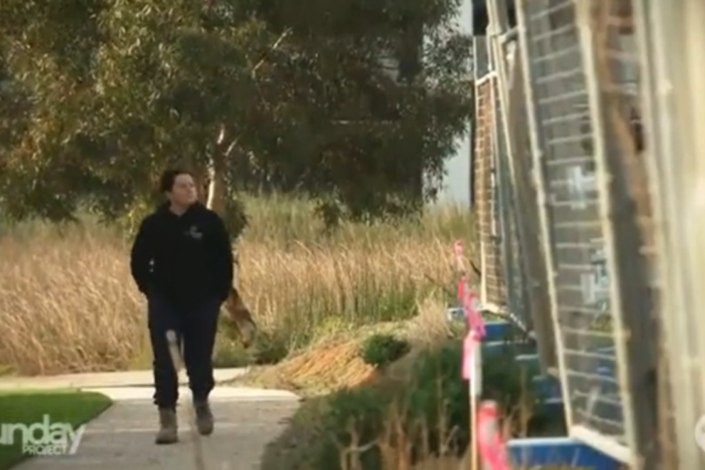 A person wearing a dark hoodie and work boots walks along a paved path bordered by tall grasses and trees. The scene appears to be part of a news or documentary segment, with “The Sunday Project” logo in the bottom left corner and the Network 10 logo in the bottom right.